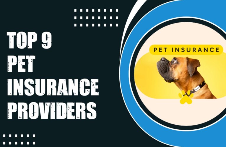 Top 9 Pet Insurance Providers in the USA: Protecting Your Furry Friends